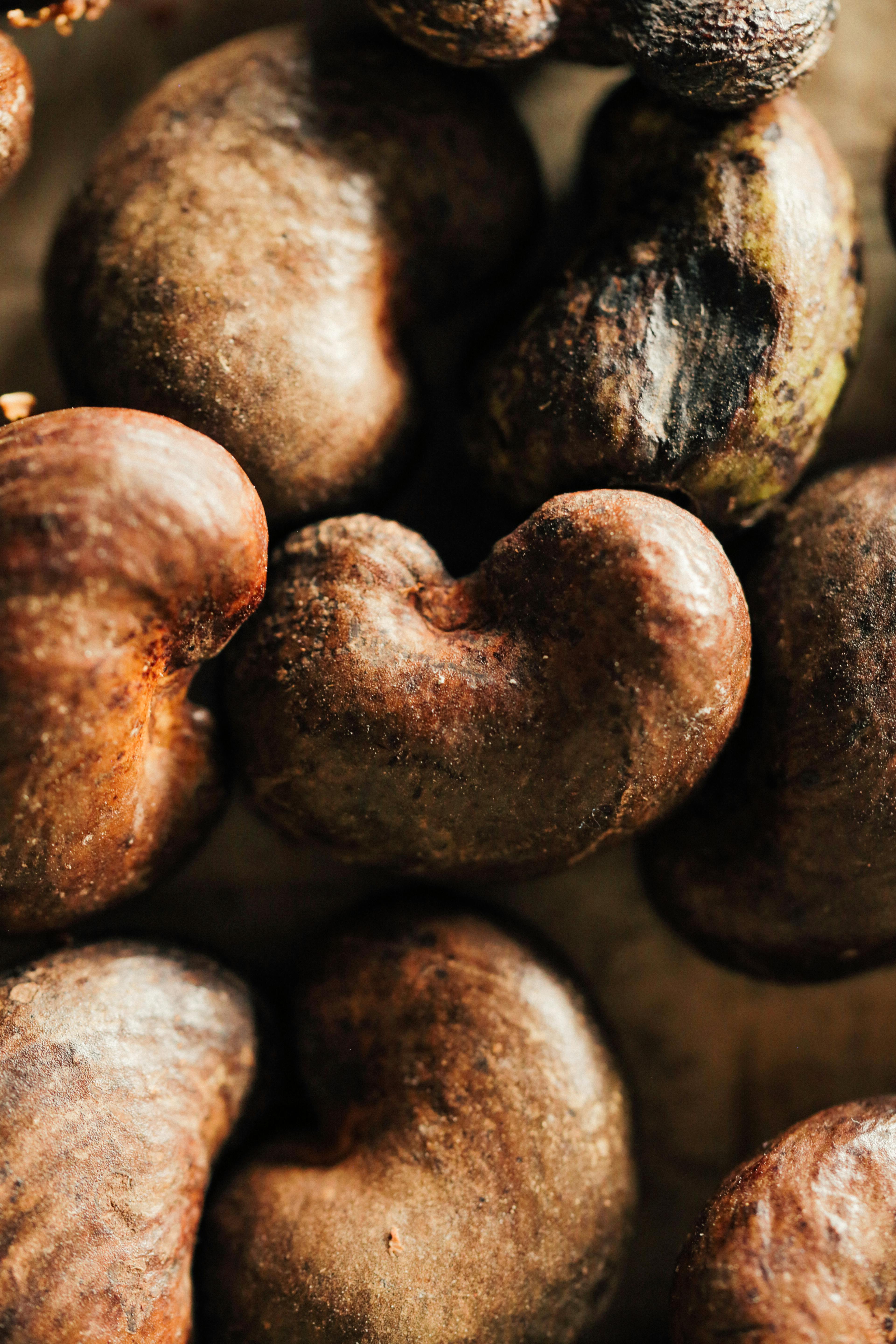 Raw Cashew Nuts